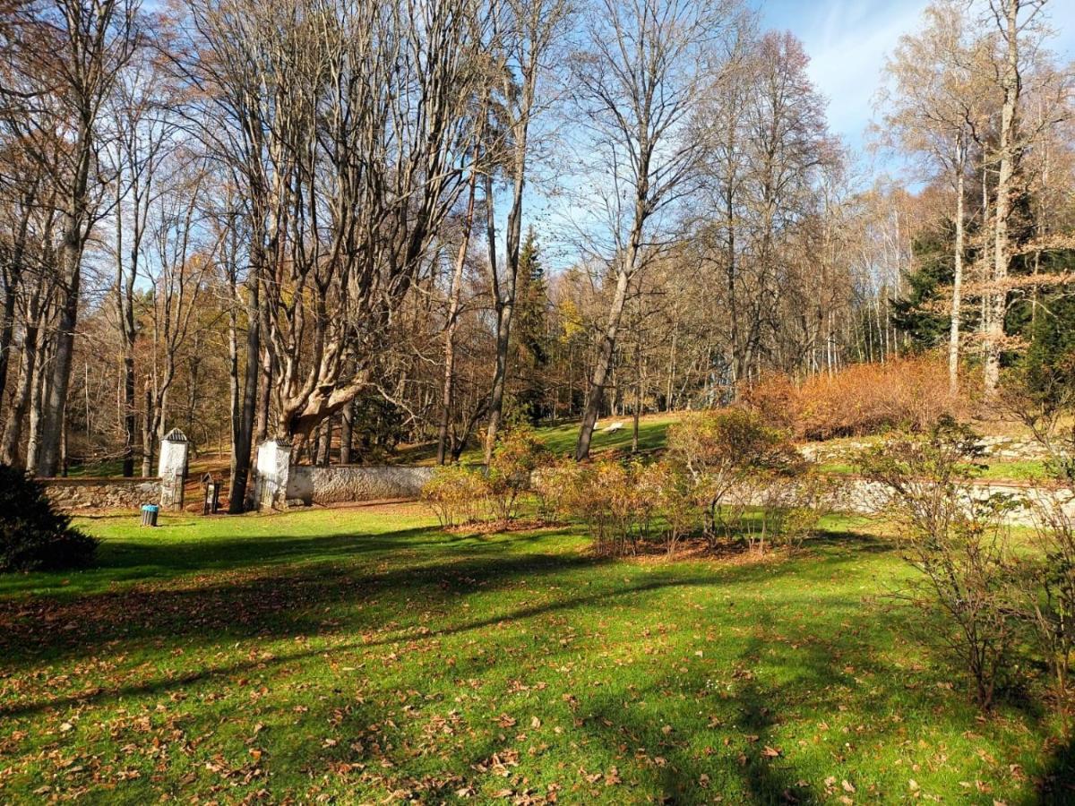 Apartman Petra Horní Planá Buitenkant foto